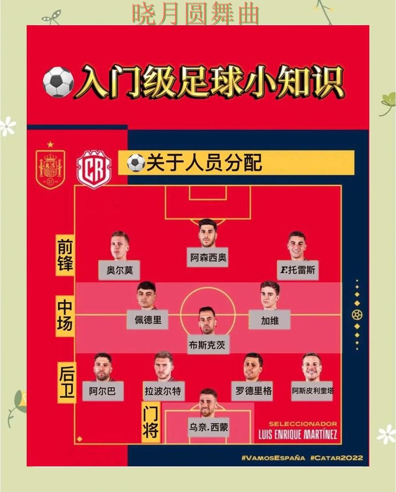 世界杯买球入口新手入门规则解析完整教学